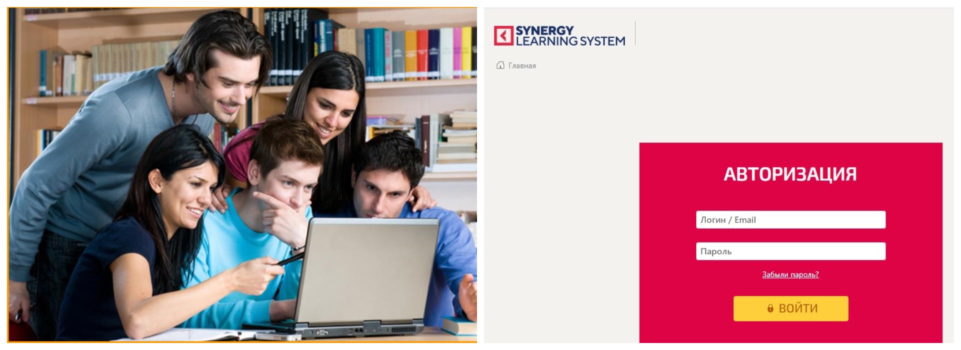 Synergy learning system - личный кабинет студента вход Synergy learning system - личный кабинет студента вход