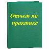 Отчеты по практике
